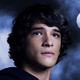 Image for article titled MTV's Teen Wolf swaps basketball for pouty puppy stares